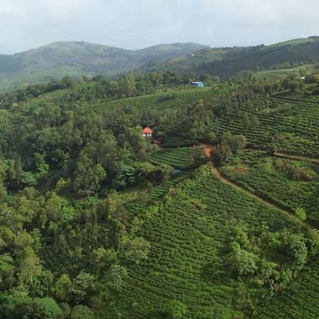 Tea Haven By Yathroam Guest House Vagamon Eksteriør bilde