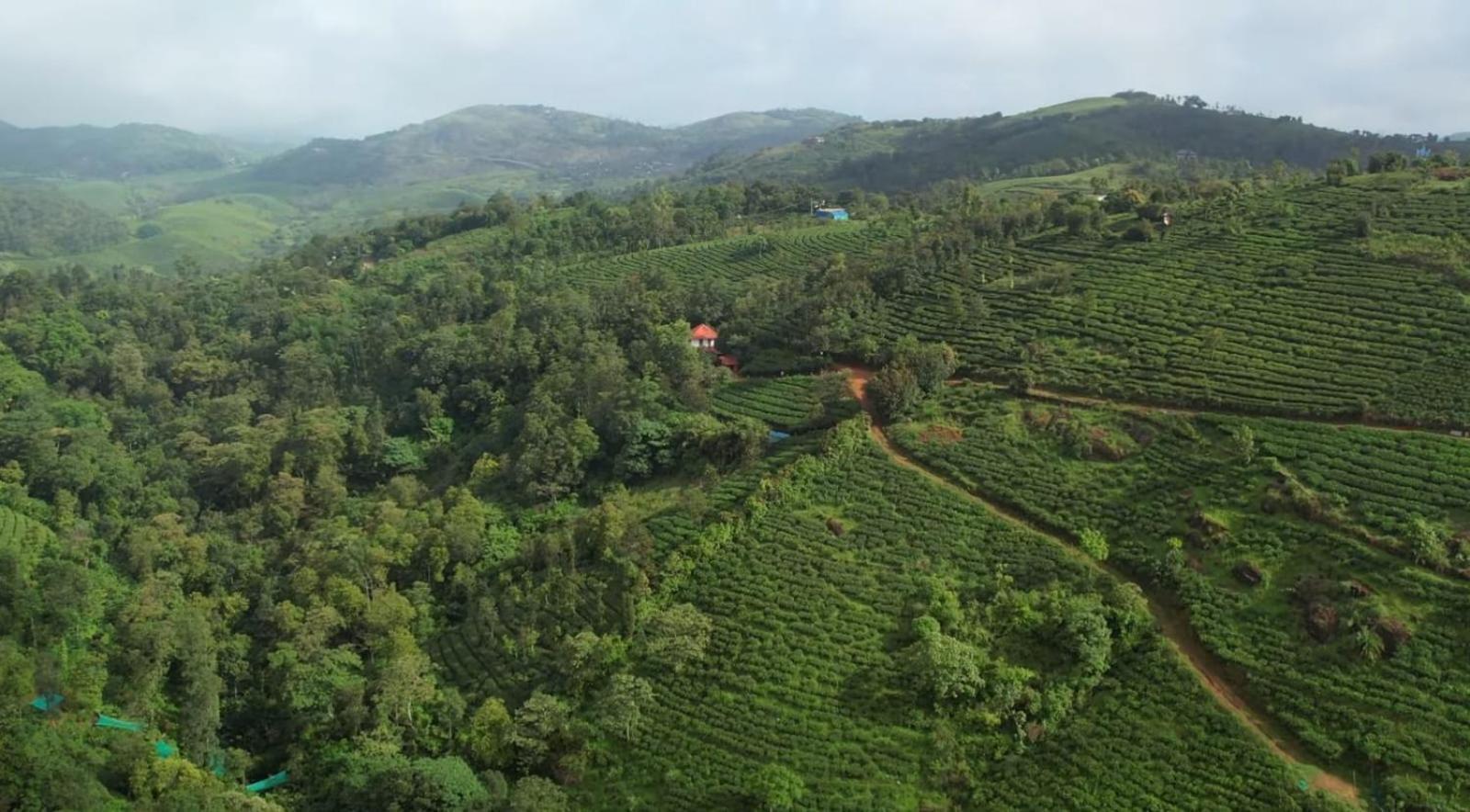 Tea Haven By Yathroam Guest House Vagamon Eksteriør bilde