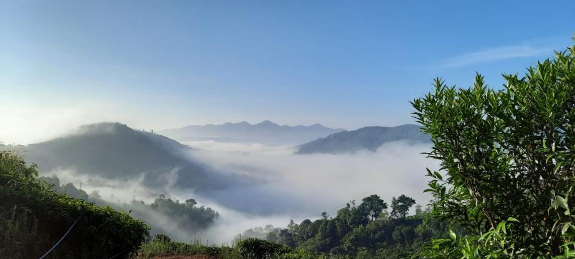 Tea Haven By Yathroam Guest House Vagamon Eksteriør bilde